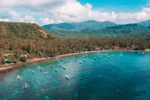 Alila Manggis