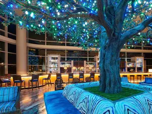 Fairmont Austin
